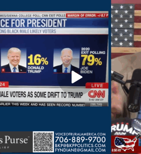 Souls To The Polls ad-mania